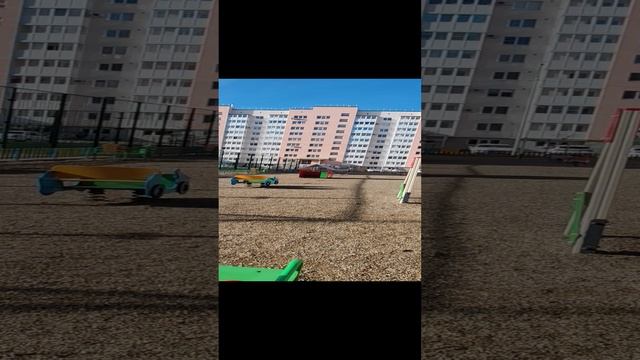 1000019078.mp4