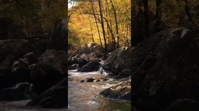 Autumn piano beautiful landscapes relaxation