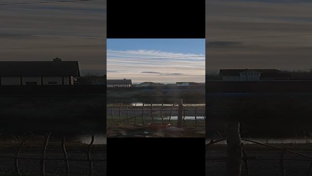 Утреннее настроение
