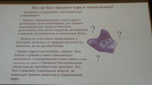 Марков А. В. - Теория эволюции - 12. Протерозой