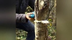 пила цепная