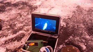 Зимняя рыбалка река Талица Курганская область 25 декабря 2022