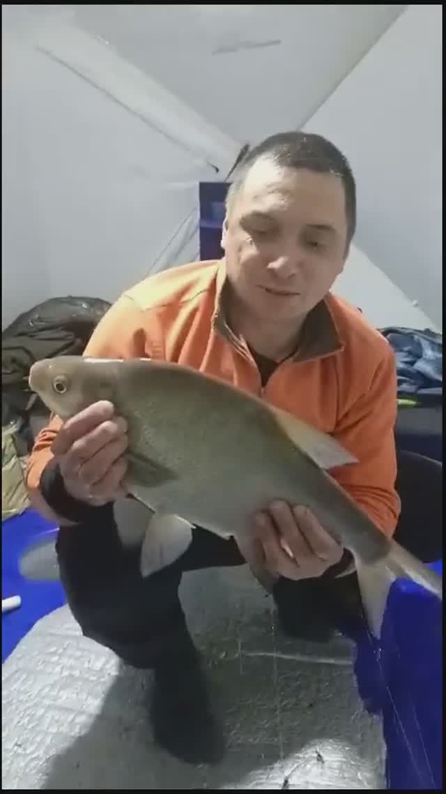 Лещ полторашка #icefishing #лещнакоромысло #ловлялеща