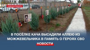 В День рождения посёлка Кача открыли «Аллею Памяти и Славы» в честь бойцов СВО