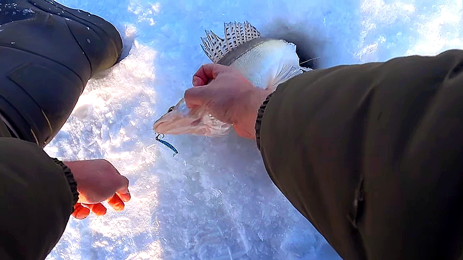 ТРОФЕЙНАЯ РЫБАЛКА НА СУДАКА! ПРОВЕЛ ДВА ДНЯ НА ВОДОХРАНИЛИЩЕ#рыбалка#судак смотреть онлайн