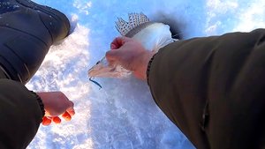 ТРОФЕЙНАЯ РЫБАЛКА НА СУДАКА! ПРОВЕЛ ДВА ДНЯ НА ВОДОХРАНИЛИЩЕ#рыбалка#судак