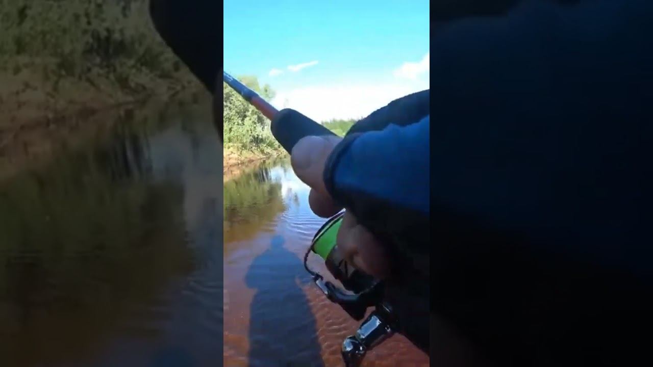 красивый горбач смотреть онлайн