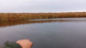 русловая щука где ты?
