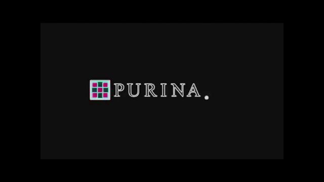 Purina Logo Effects Round 1 vs GCVEHD смотреть онлайн
