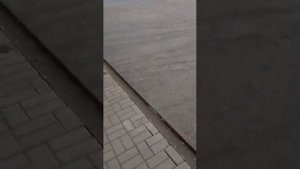 Топливо из Казахстана вывозят в Россию. топливный сговор