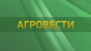 Агровести 22.11.2024