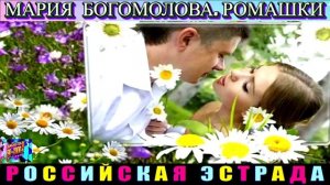МАРИЯ БОГОМОЛОВА. РОМАШКИ.2024