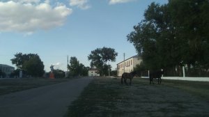 Село Новорепное, Ершовский район.