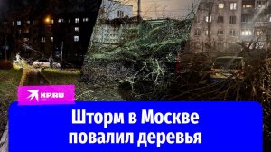 Штормовой ветер повалил деревья в Москве