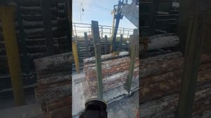 погрузка пиловочника 4м в вагон