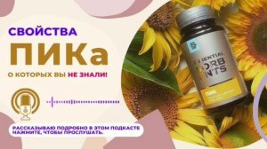 Природный инулиновый концентрат ПИК-порошок