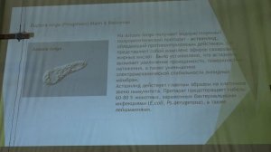 Белякова Г. А. - Низшие растения - 4. Эвгленовые и динофитовые водоросли