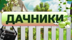 Полив, температура и влажность воздуха: в чём нуждаются "питомцы" на домашних подоконниках осенью