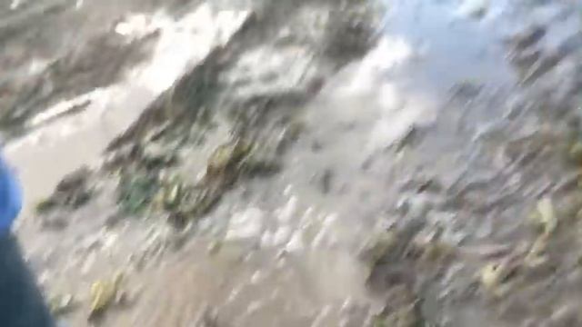 FARM UPDATE #12 #WardysWeeklyWaffle смотреть онлайн