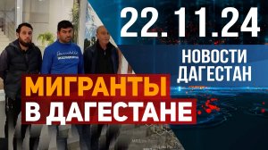 Штрафы и выдворения из страны. Новости Дагестана за 22.11.2024 год