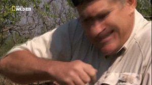 Опасные встречи 23 серия «Поймать бегемота» (документальный сериал, 2005)