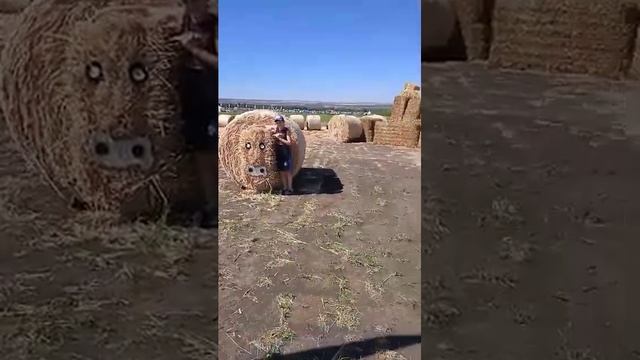 Выставка Минводы Экспо Соломенная
