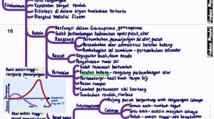 BIOLOGI KSSM T5- Bab 5 Gerak Balas dalam Tumbuhan