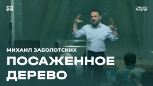 Михаил Заболотских: Посаженное дерево / Церковь «Слово жизни» Северодвинск