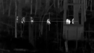 Pulsar Thermion 2 XQ50 Pro 3-12x50mm #remington700 #300blk #hog #huntinggame