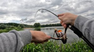 РЫБАЛКА НА ДЖИГ С БЕРЕГА. Короткий выезд со спиннингом в залив р. Ока