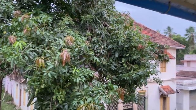 Attending a birthday party with Amma | Our kutty garden tour | Immunity Capsules i take for my Sinu смотреть онлайн