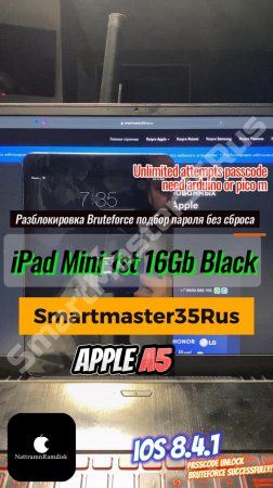 Разблокировка Passcode блокировки на iPad Mini 1st 16GB Black без потери данных