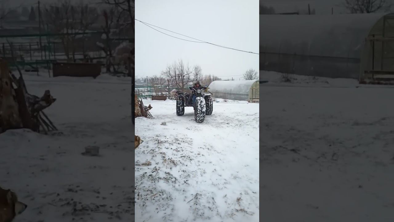 приехал на охоту) смотреть онлайн