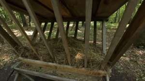 Сельский туризм в Бутурлиновском районе