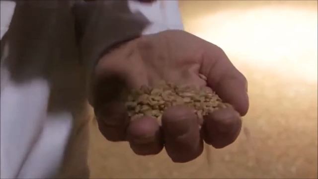 Hidden GMOs, Hidden Glyphosate, Hidden Dangers смотреть онлайн