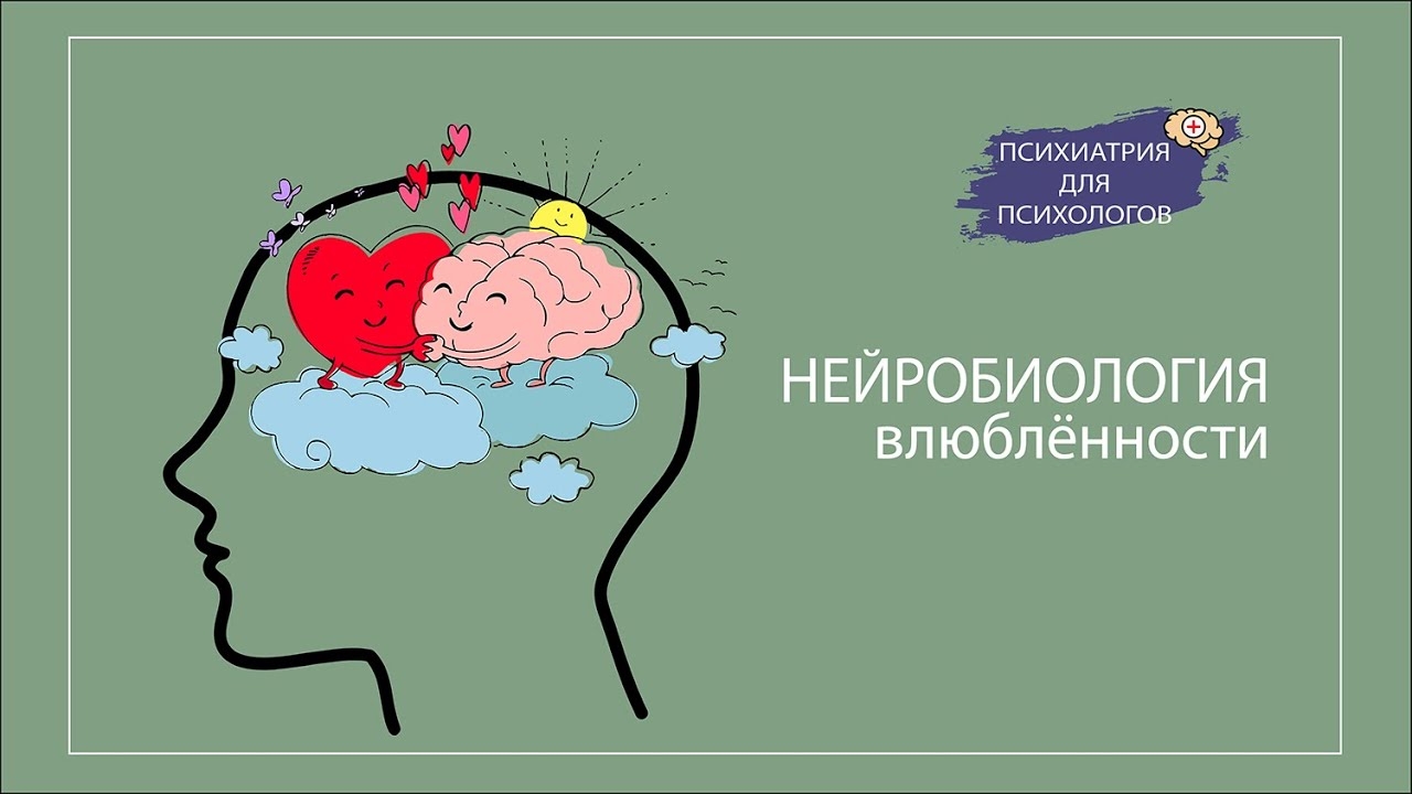 Нейробиология любви