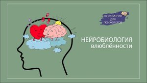 Нейробиология любви