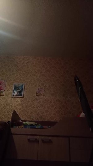 мои новые вещи