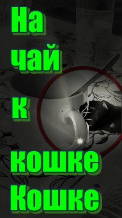 На чай к кошке Кошке