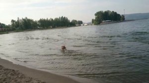 Юка наслаждается водой