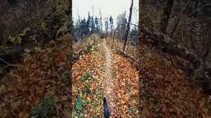 Грязная тренировка, с Федом