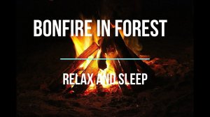 Bonfire in Forest Sound to Relax, Sleep, Reduce Stress, Focus, Study and Reading