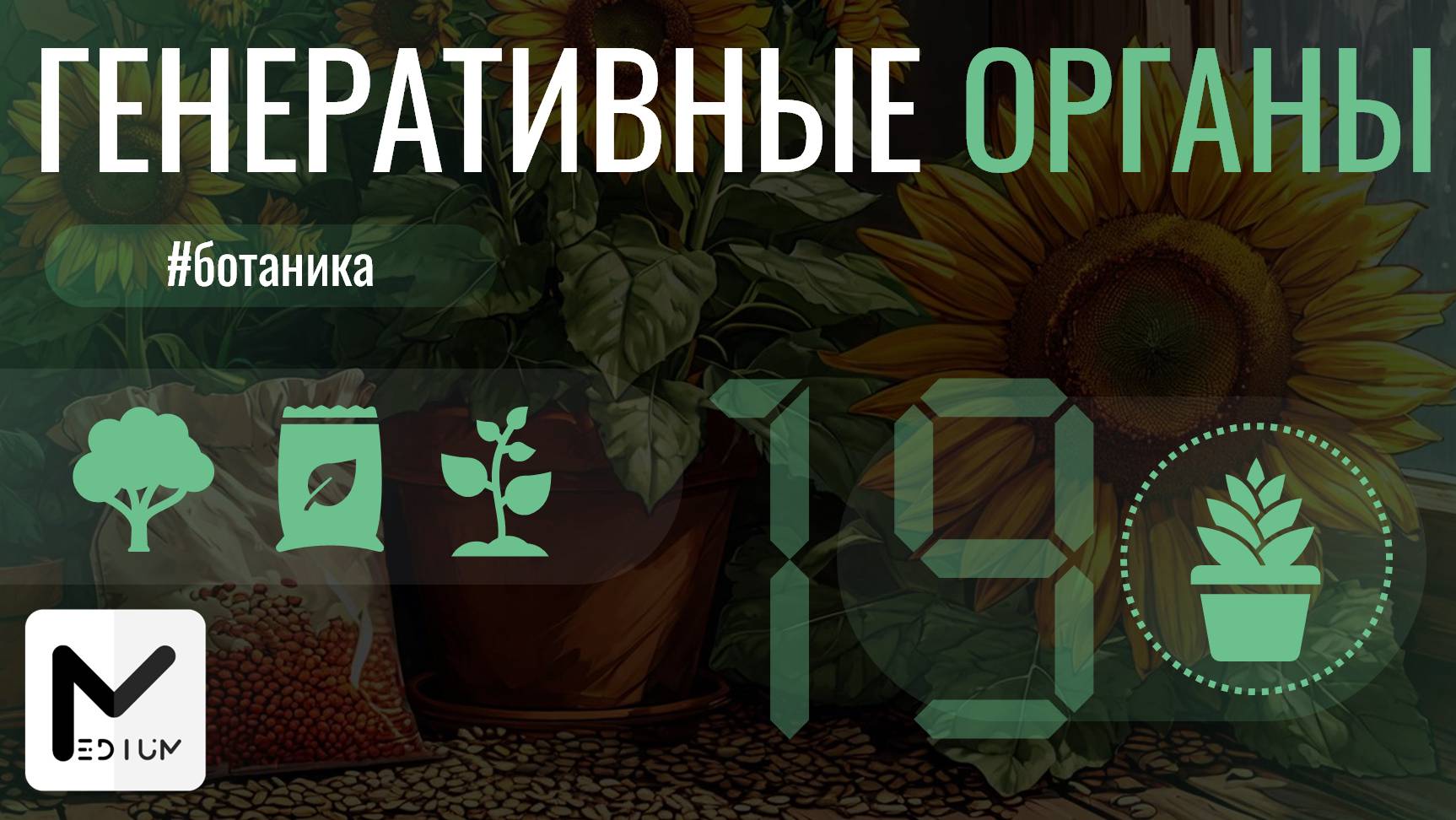 🌻 Генеративные органы растений для ЕГЭ ПО БИОЛОГИИ