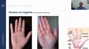 Хиромантия, холмы на руке, энергия, чувствительность.