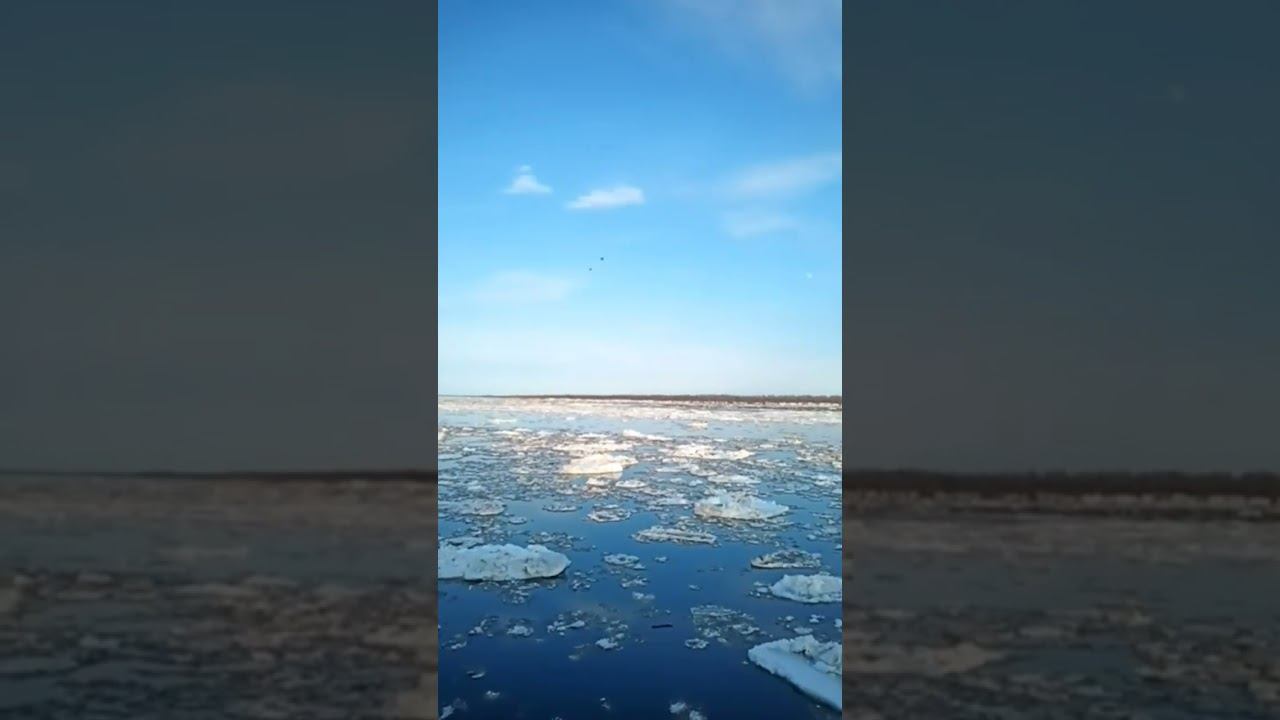 Весна и уточки крякают смотреть онлайн