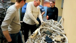 Тест ножей Широгорова Часть 5