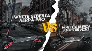 White Siberia Fighter Mini VS Nerpa Pro