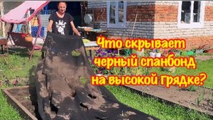 ЧТО Я УВИДЕЛА УБРАВ ЧЁРНЫЙ СПАНБОНД С ГРЯДКИ…/ВРЕДЕН ЛИ ЧЁРНЫЙ СПАНБОНД