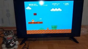 Магистр Репетитор обзор