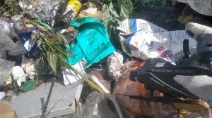 Поход на свалку. Деньги из мусора. Беларусь. Мусорщик.